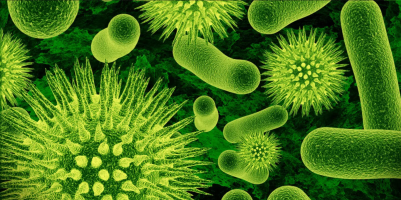 educatedinnocuitykeeper.milaulas.com